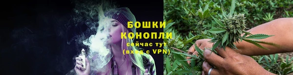 прущие крисы Беломорск