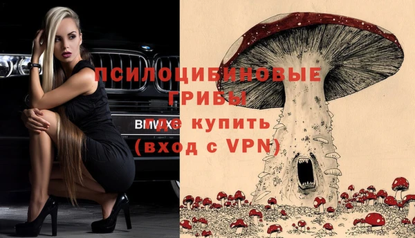 прущие крисы Беломорск