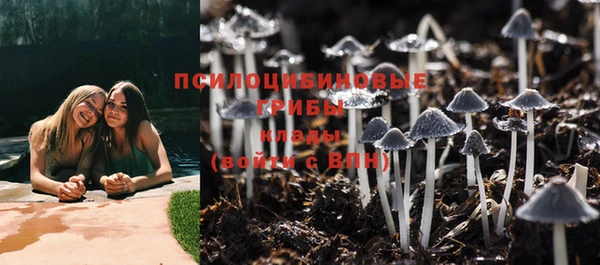 СК Белокуриха