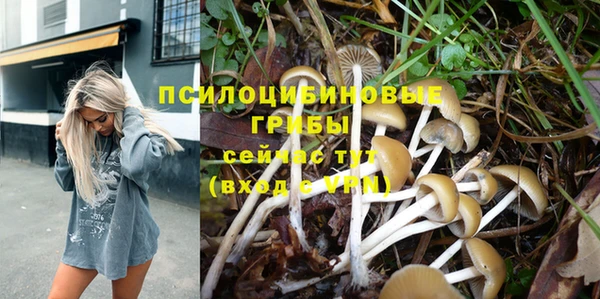 a pvp Белоозёрский