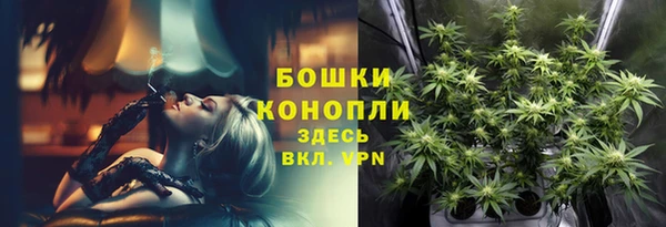 СК Белокуриха