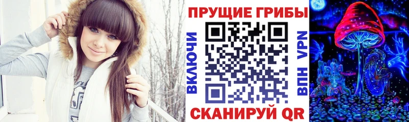 Псилоцибиновые грибы Psilocybine cubensis где купить наркоту Пыть-Ях