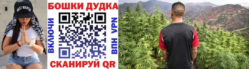 где продают наркотики  Пыть-Ях  Бошки марихуана SATIVA & INDICA 